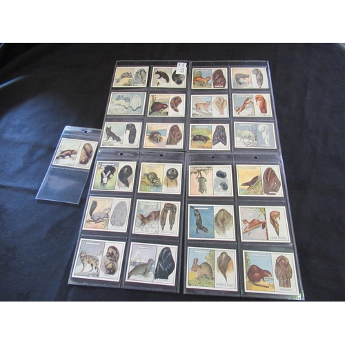 160 - Category -Animals, Pets, Farm : Player 50 x Poultry Transfers, Player L12 x Natural History 2nd Seri... 