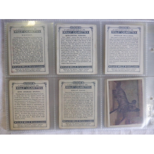 144 - Category -Cats & Dogs: Carreras M52 x Greyhound Racing Game - Black Cat, Wills M25 x Dogs 1914, Will... 