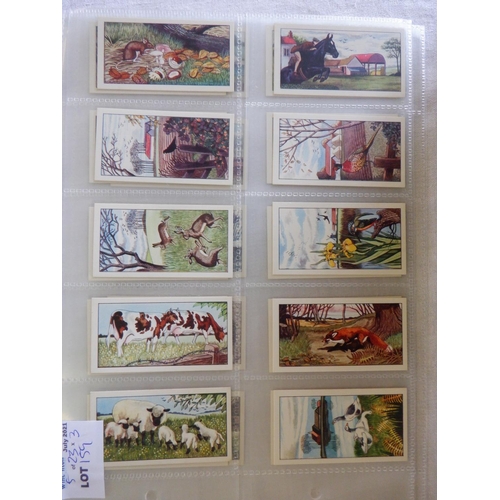 159 - Category -Animals, Pets, Farm : H Hares T16 x The Pets and Animals and Album, Sweetenham 25 x Animal... 