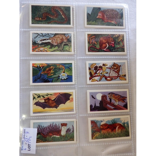 159 - Category -Animals, Pets, Farm : H Hares T16 x The Pets and Animals and Album, Sweetenham 25 x Animal... 