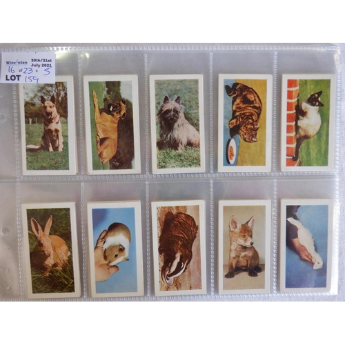 159 - Category -Animals, Pets, Farm : H Hares T16 x The Pets and Animals and Album, Sweetenham 25 x Animal... 