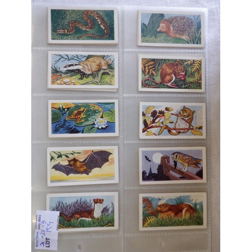 159 - Category -Animals, Pets, Farm : H Hares T16 x The Pets and Animals and Album, Sweetenham 25 x Animal... 