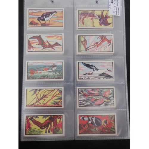 233 - Category -  The World Of Nature: Mills 25 x Wild Animals, Mills 25 x A Nature Series, Lloyd 25 x Zoo... 