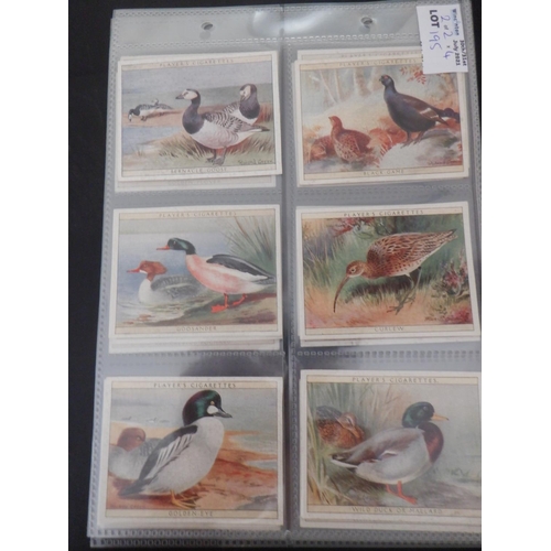 195 - Category -Birds: Player 50 x Wild Birds Transfers, Players M25 x Game Birds and Wild Fowl. Book Pric... 