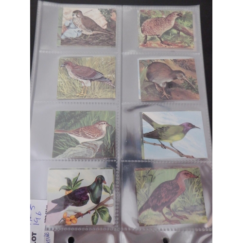 196 - Category -Birds: Cavanders 25 x Foreign Birds, Player 25 x Birds and Their Young- 1st Issue, Player ... 