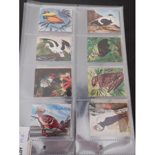 196 - Category -Birds: Cavanders 25 x Foreign Birds, Player 25 x Birds and Their Young- 1st Issue, Player ... 