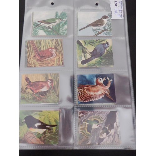 196 - Category -Birds: Cavanders 25 x Foreign Birds, Player 25 x Birds and Their Young- 1st Issue, Player ... 