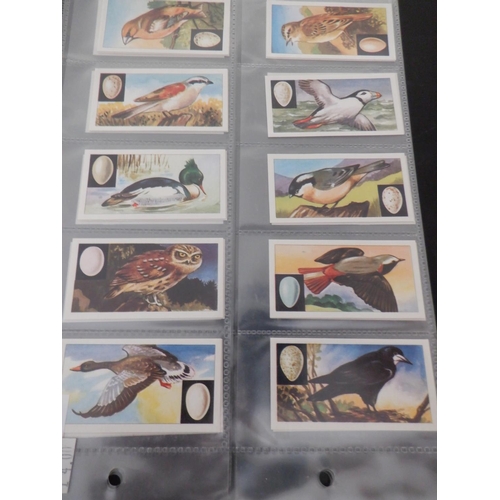 196 - Category -Birds: Cavanders 25 x Foreign Birds, Player 25 x Birds and Their Young- 1st Issue, Player ... 