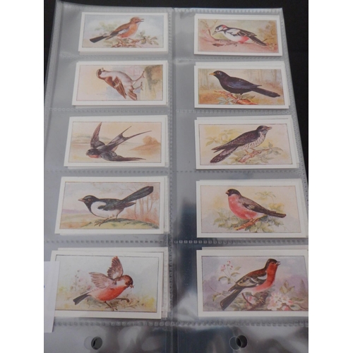 196 - Category -Birds: Cavanders 25 x Foreign Birds, Player 25 x Birds and Their Young- 1st Issue, Player ... 