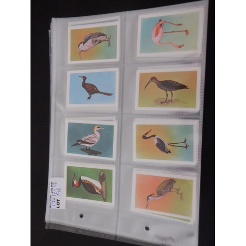 196 - Category -Birds: Cavanders 25 x Foreign Birds, Player 25 x Birds and Their Young- 1st Issue, Player ... 