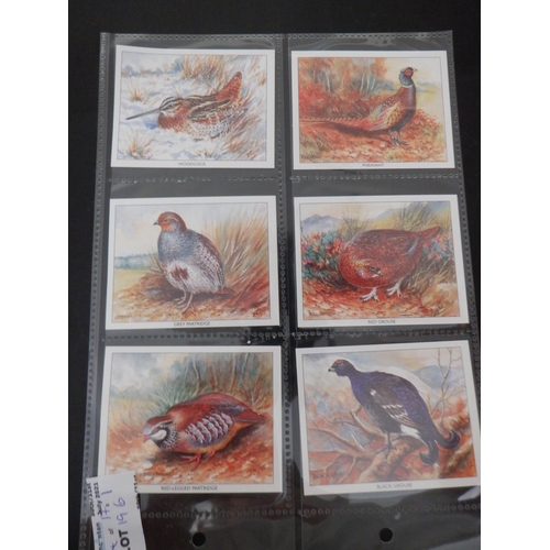 196 - Category -Birds: Cavanders 25 x Foreign Birds, Player 25 x Birds and Their Young- 1st Issue, Player ... 