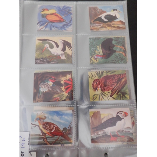 196 - Category -Birds: Cavanders 25 x Foreign Birds, Player 25 x Birds and Their Young- 1st Issue, Player ... 