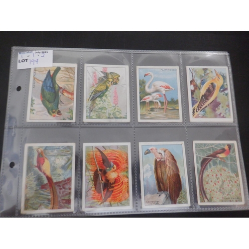 197 - Category -Birds:  Sainsbury M12 x Foreign Birds . Book Price £108 approx.