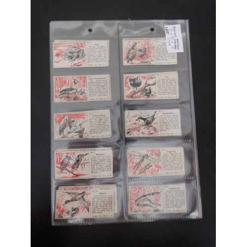 199 - Category -Birds: Mills  25 x Tropical Birds, Typhoo 20 x By Pond and Stream - Blank Backs, Doctor Ce... 