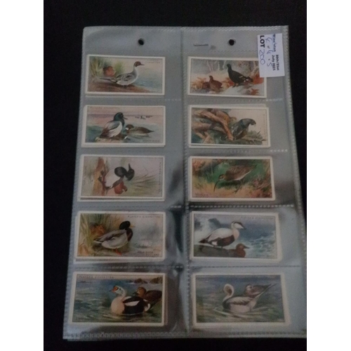 200 - Category -Birds: Player 50 x Wild Birds, Player M25 x Wild Fowl, Phillips 50 x British Birds and The... 