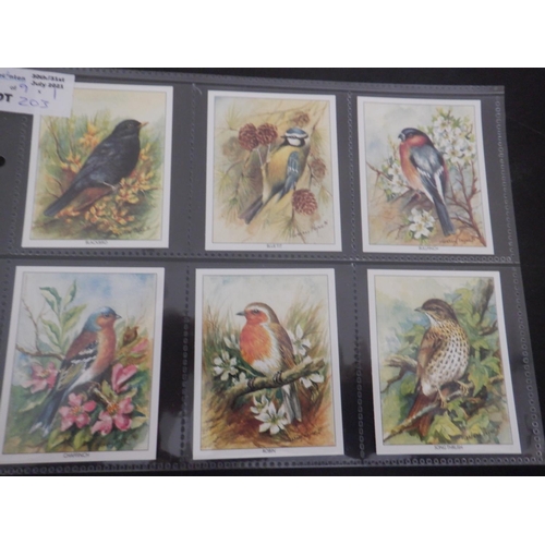 203 - Category -Birds: Liptons L30 x Birds of Prey Arabic, Carreras 50 x British Birds Black Cat & Packet,... 