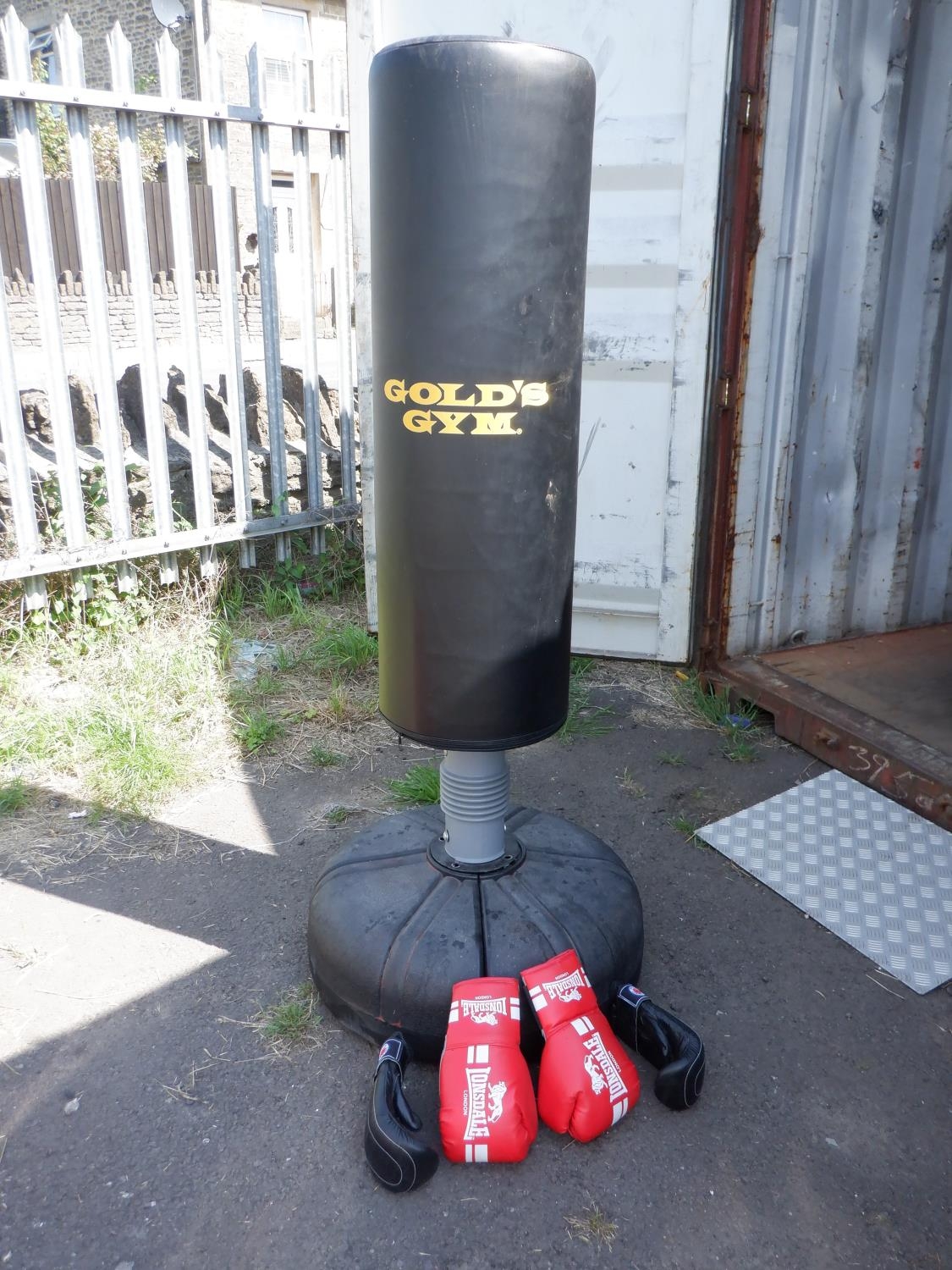 Golds gym punch bag sale