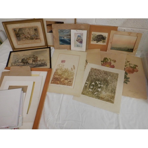 1539 - A Quantity of Pictures, Frames and Mounting Cards plus Unframed Pictures and Prints