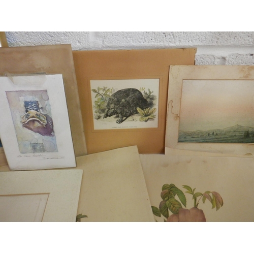 1539 - A Quantity of Pictures, Frames and Mounting Cards plus Unframed Pictures and Prints