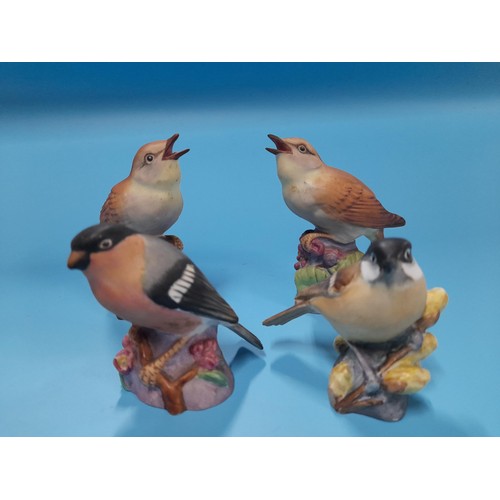 519 - Royal Worcester Birds x 4 - Marsh Tit 3336, Bullfinch 3238 and Nightingale 3337 x 2