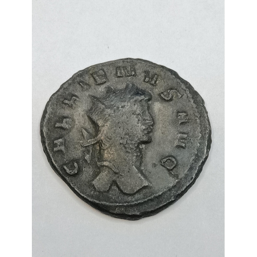 363 - Ancient Roman Coin, Obverse : Diademed and Cuirassed Emperor Antoninianus 265-266. Reverse: Sol Walk... 