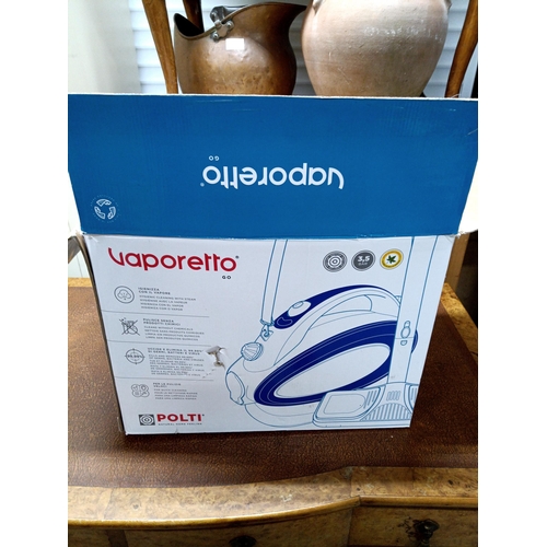 297 - Vaporetto Steam Cleaner