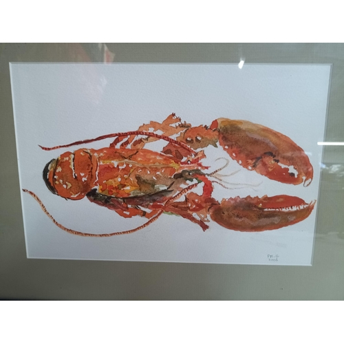 836 - An Original Watercolour of a Lobster Signed 