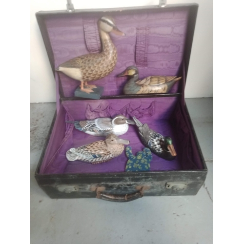 77 - A Vintage Suitcase Containing Ornamental Ducks etc.