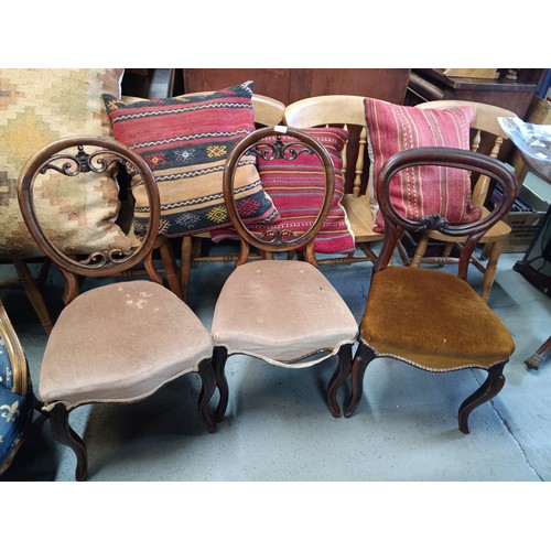 809 - 3 x Antique Balloon Backed Chairs