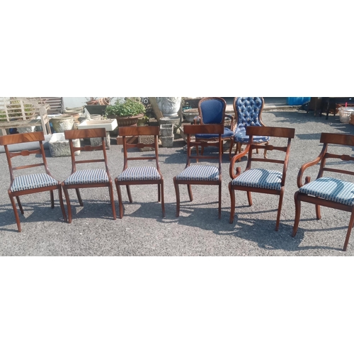 742 - A Set of 6 x Dining Chairs ( 2 x Carvers and 4 x Chairs)