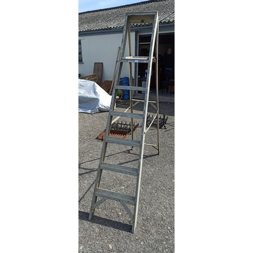 809 - Metal 6 Tread Step Ladder