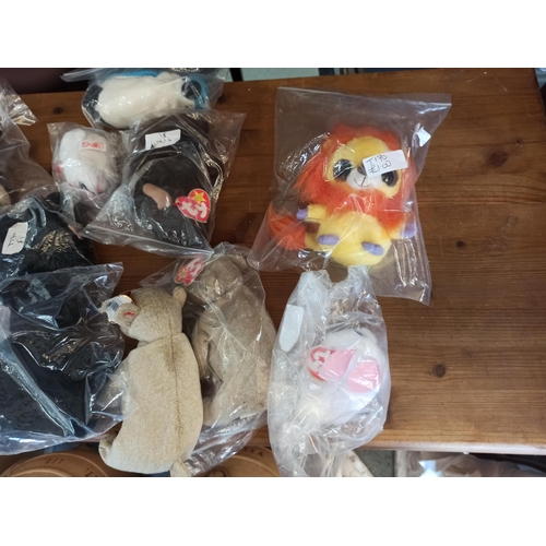 1039 - 12 x Beanie Bears