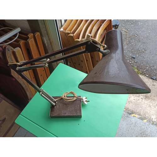 901 - Brown Anglepoise Lamp with Brown Plastic Covered Base