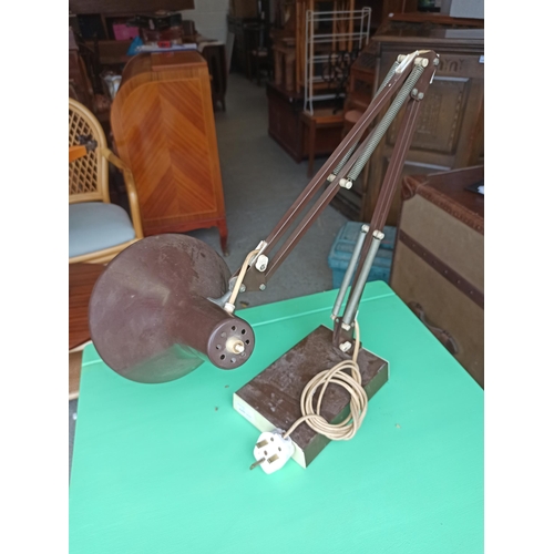 901 - Brown Anglepoise Lamp with Brown Plastic Covered Base