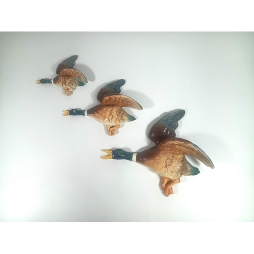 405 - A Set of 3 x Falconware Flying Duck Ornaments - No Visible Chips or Cracks