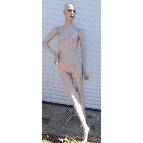 345 - A Tall Female Mannequin