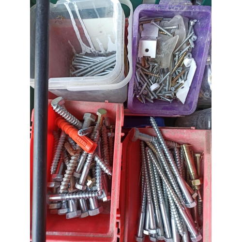 158 - Selection of Fixings, Screws, Nails, Coach Bolts, Staples and More