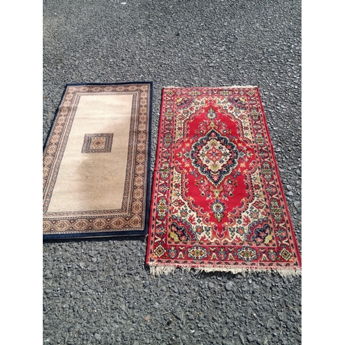 1000 - 2 x Rugs 160 x 87cm and 150 x78cm