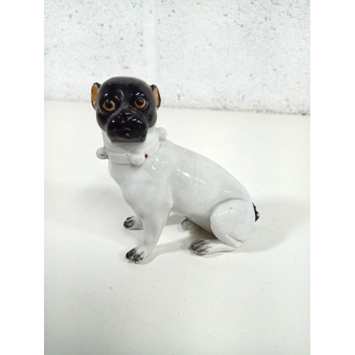 519 - A Victorian Porcelain Pug Dog Ornament ( missing part of tail)