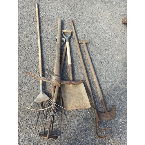 211 - Antique and Vintage Gardening Tool Bundle including Fork, Shovel, Rake and More