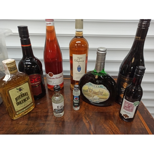 375 - Mixed Bottles of Wine, Port and Spirits including QC Port, Shiraz, Mateus and More