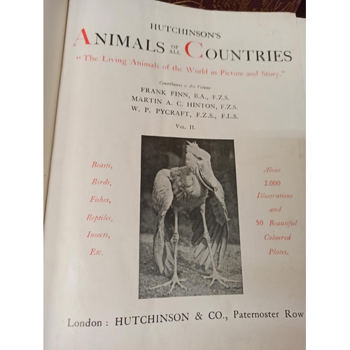 994 - Vintage Hutchinsons Animals of All Countries Volumes 1 - 4