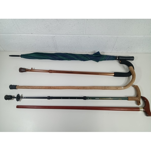 341 - Walking Sticks, Trekking Pole and Umbrella