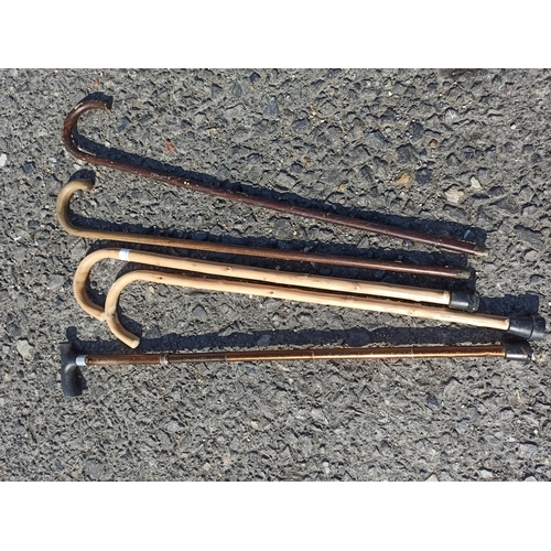 342 - 5 x Walking Sticks - 4 x Wooden and 1 x Adjustable Metal