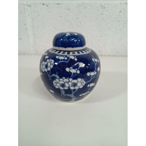 512 - Chinese Prunus Blossom Covered Ginger Jar - 12cm Tall with Double Ring Mark