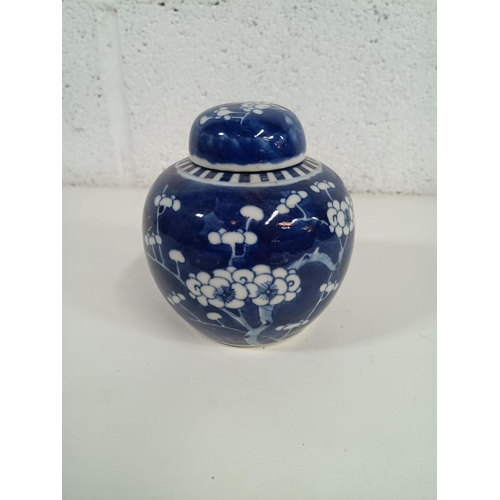 512 - Chinese Prunus Blossom Covered Ginger Jar - 12cm Tall with Double Ring Mark