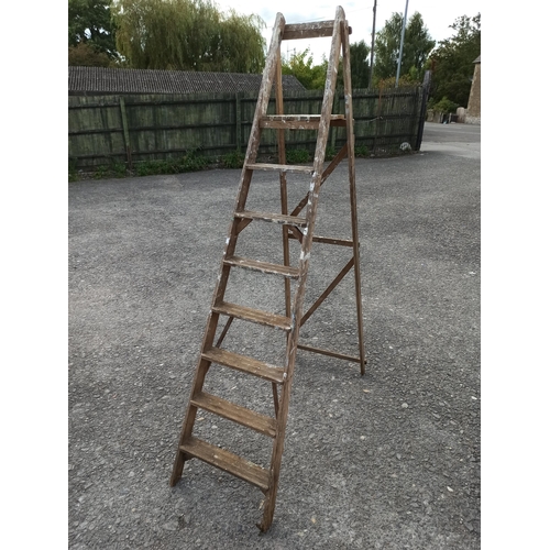 68 - 7 Tread Wooden Step Ladder