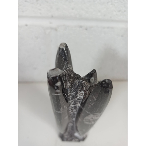 837B - A Polished Orthoceras Fossil ornament (some chipping)