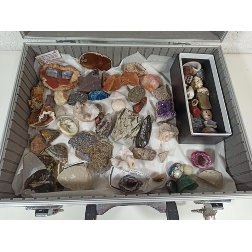 877 - A collection of fossils and semi precious stone samples in metal flight case