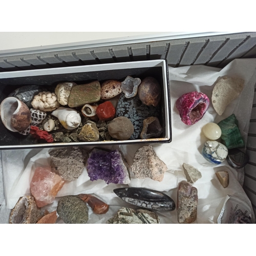 877 - A collection of fossils and semi precious stone samples in metal flight case